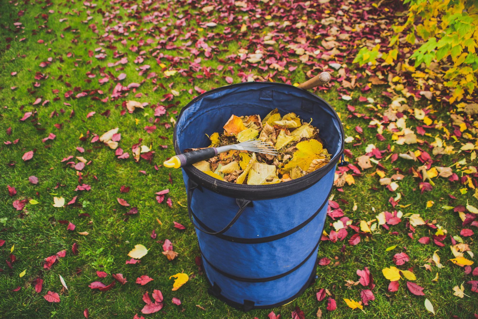 Jardinage, automne 