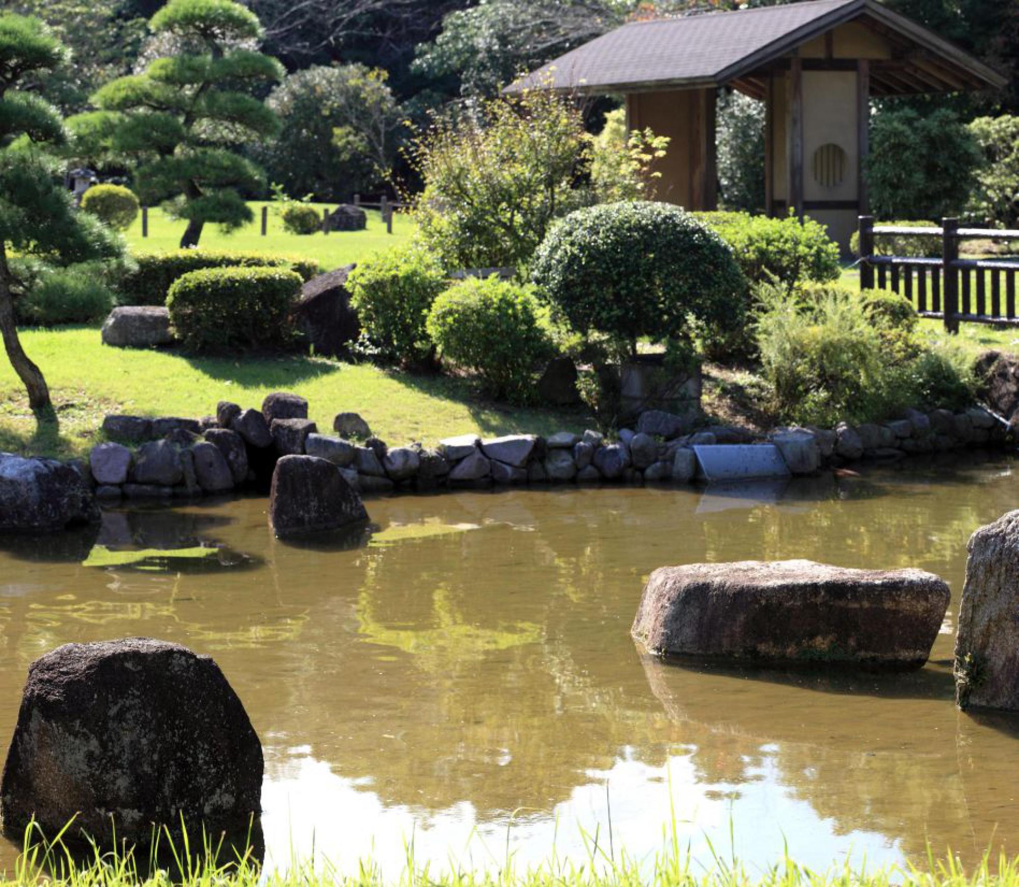 Jardin, point d'eau 