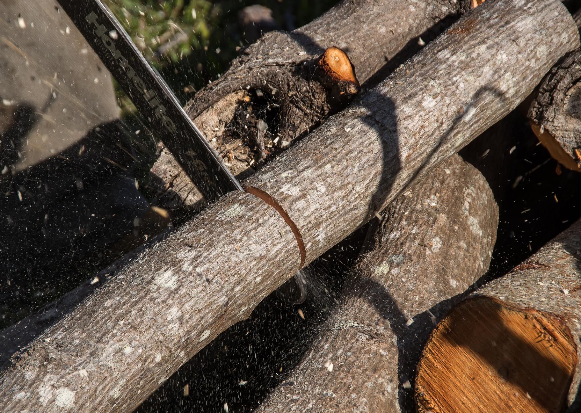 Débitage de bois 