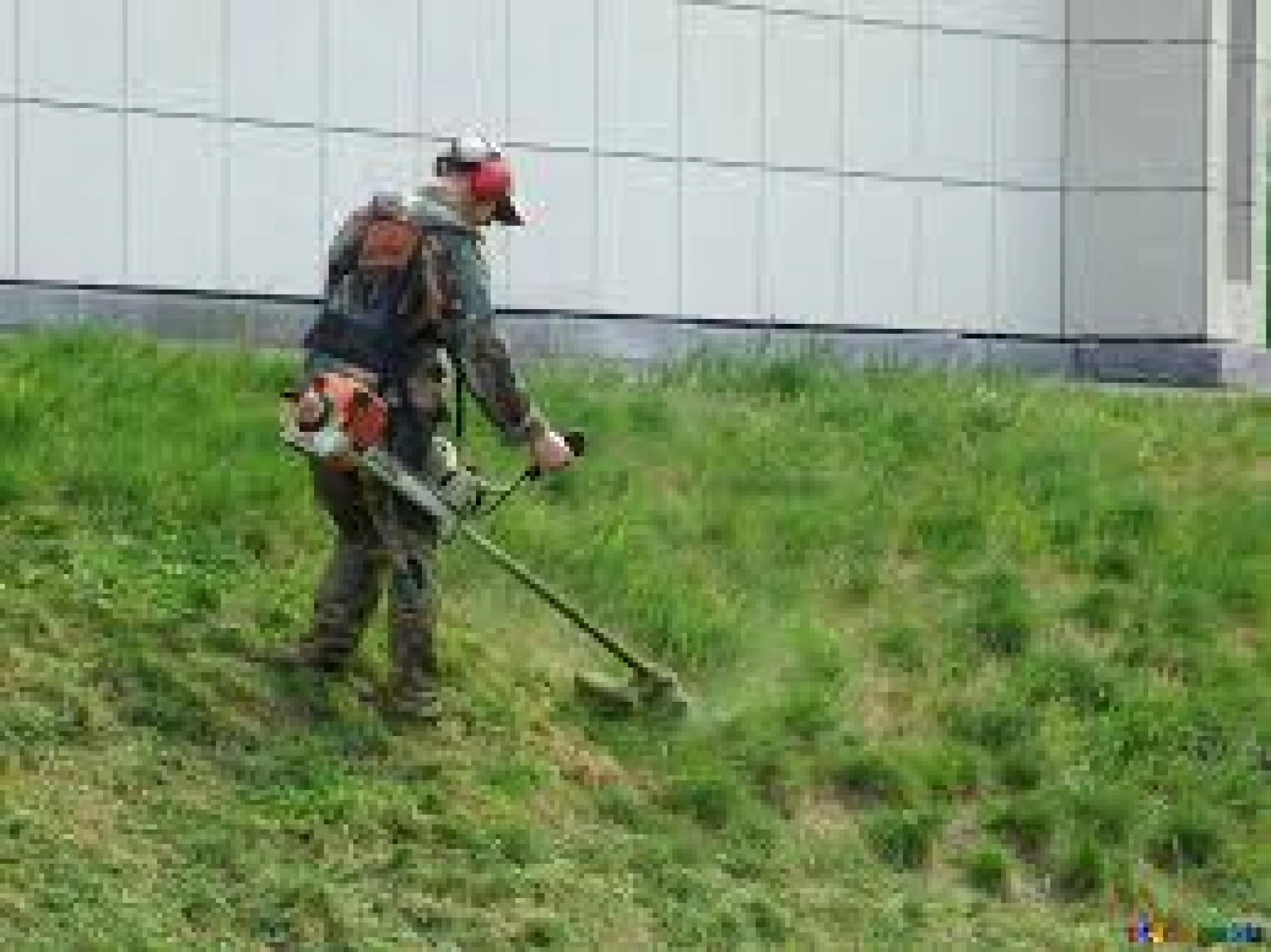 jardinier professionnel jpg