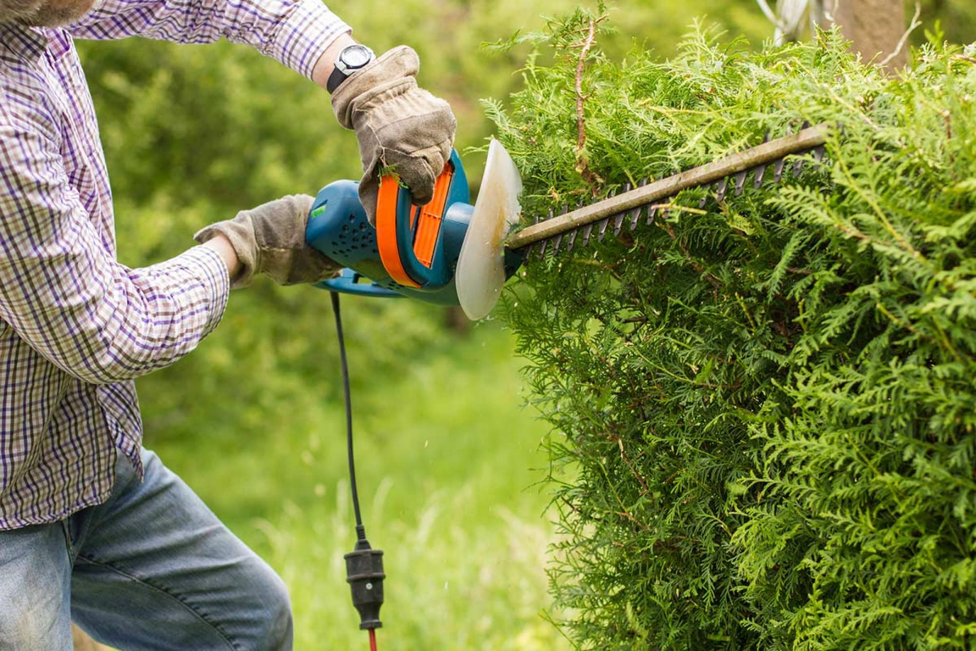 travaux d'entretien de jardin