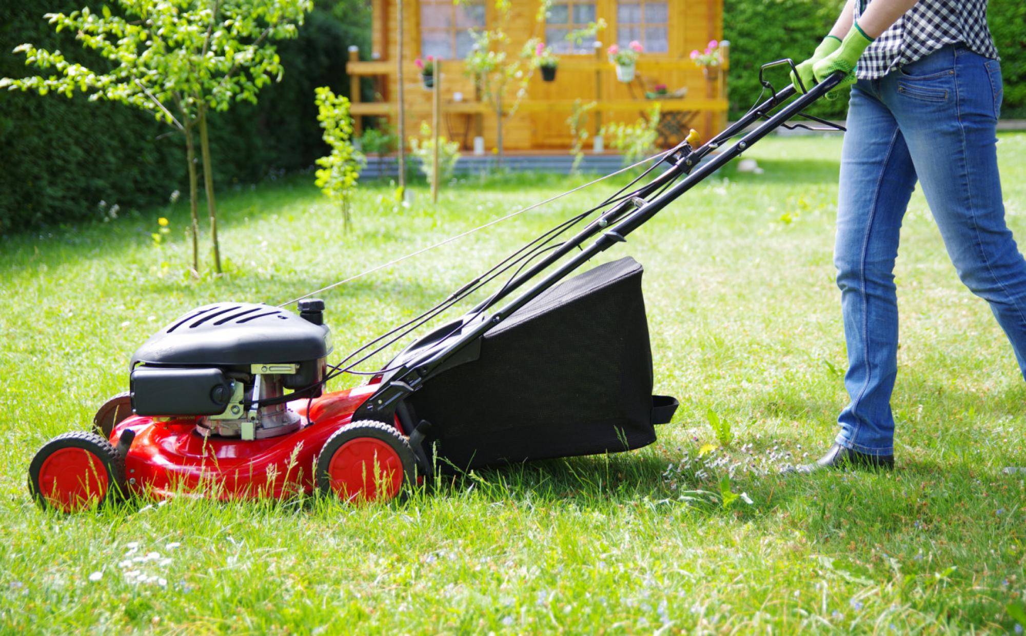 entretien de jardin