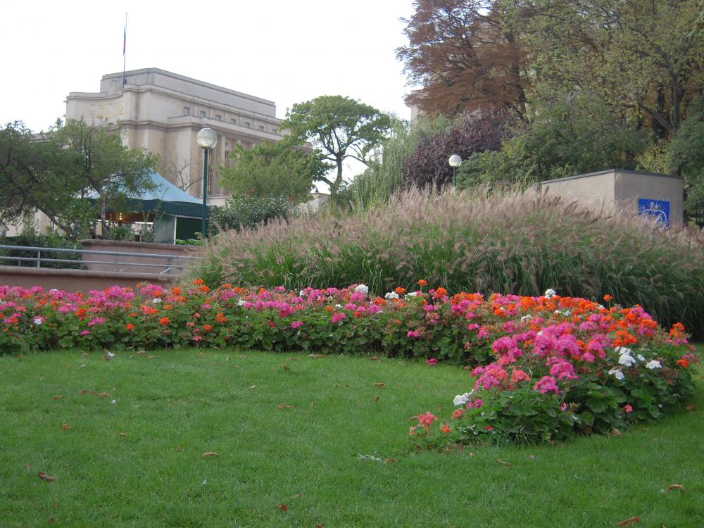 Jardin, massif de fleurs 