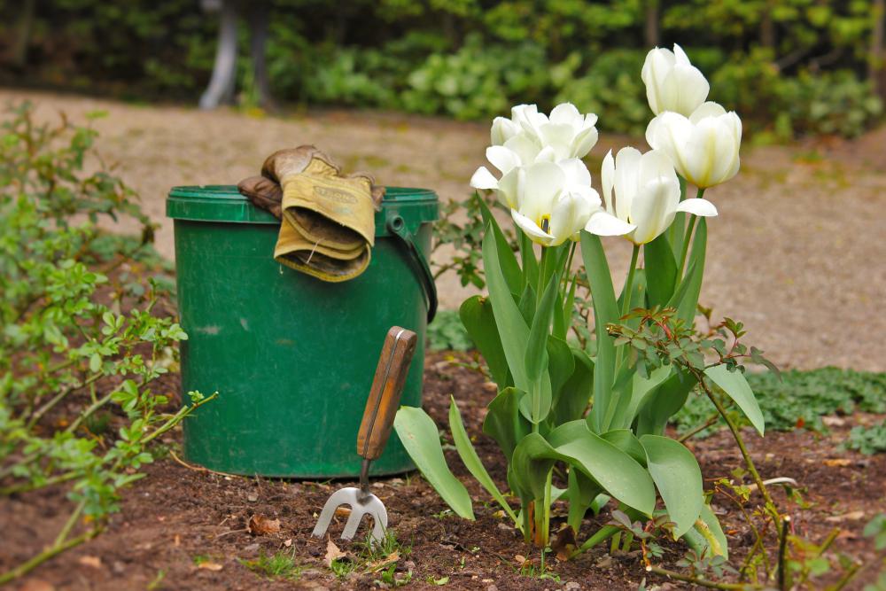 travaux de jardinage 