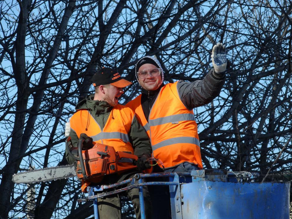 artisans élagueurs 