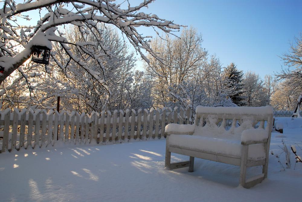 jardin, hiver, neige 