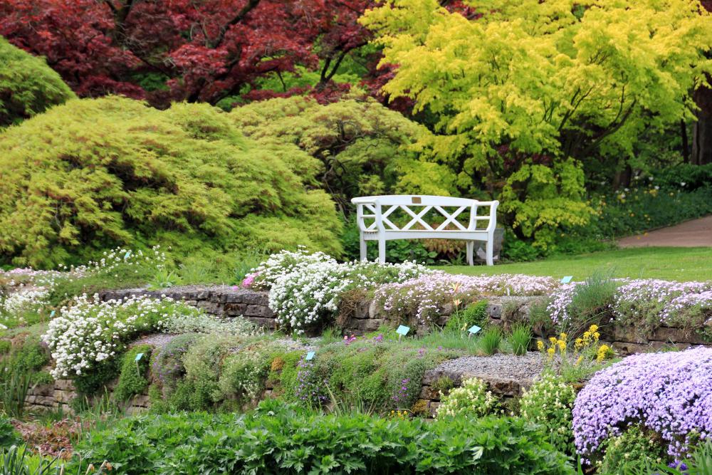 jardin arborée 