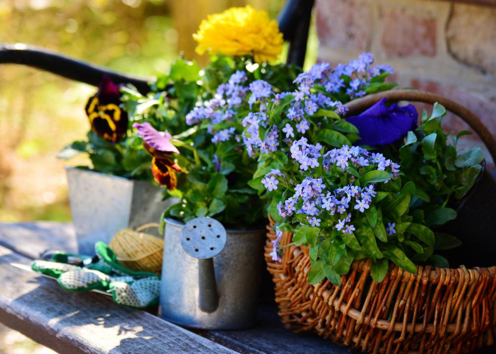 Travaux de jardinage 