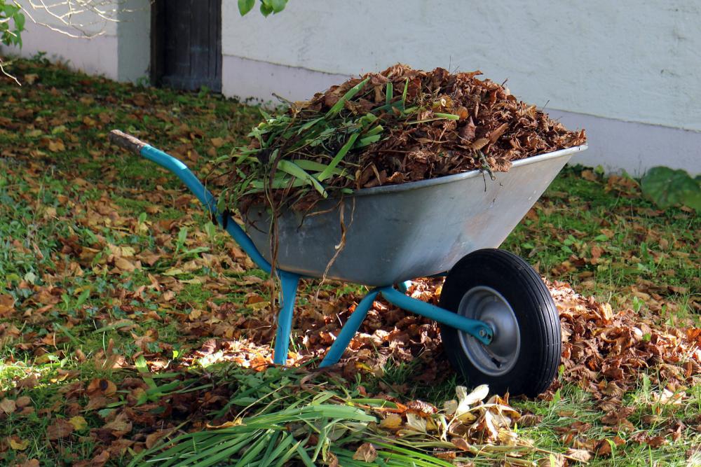 Brouette, feuilles mortes 