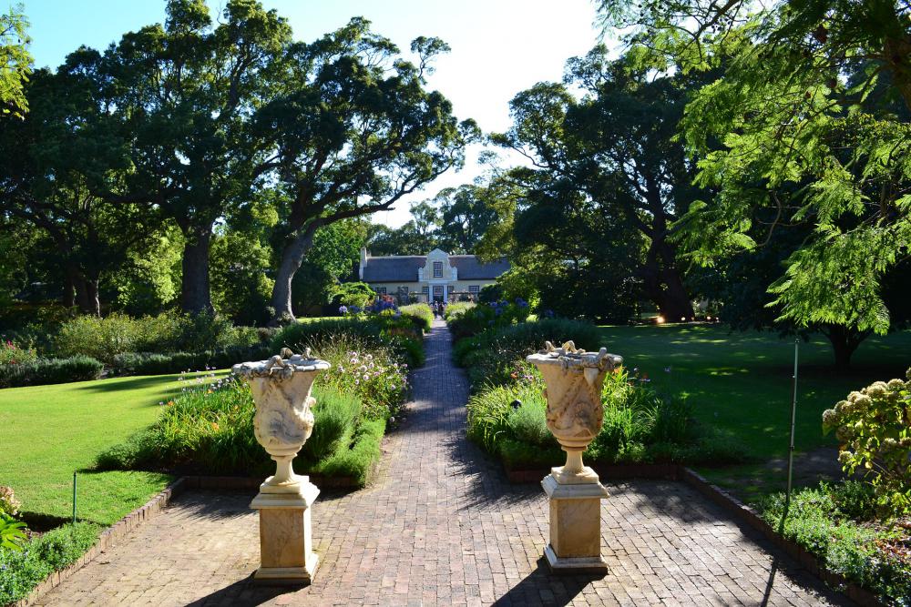 Jardin, arbres, pelouse 