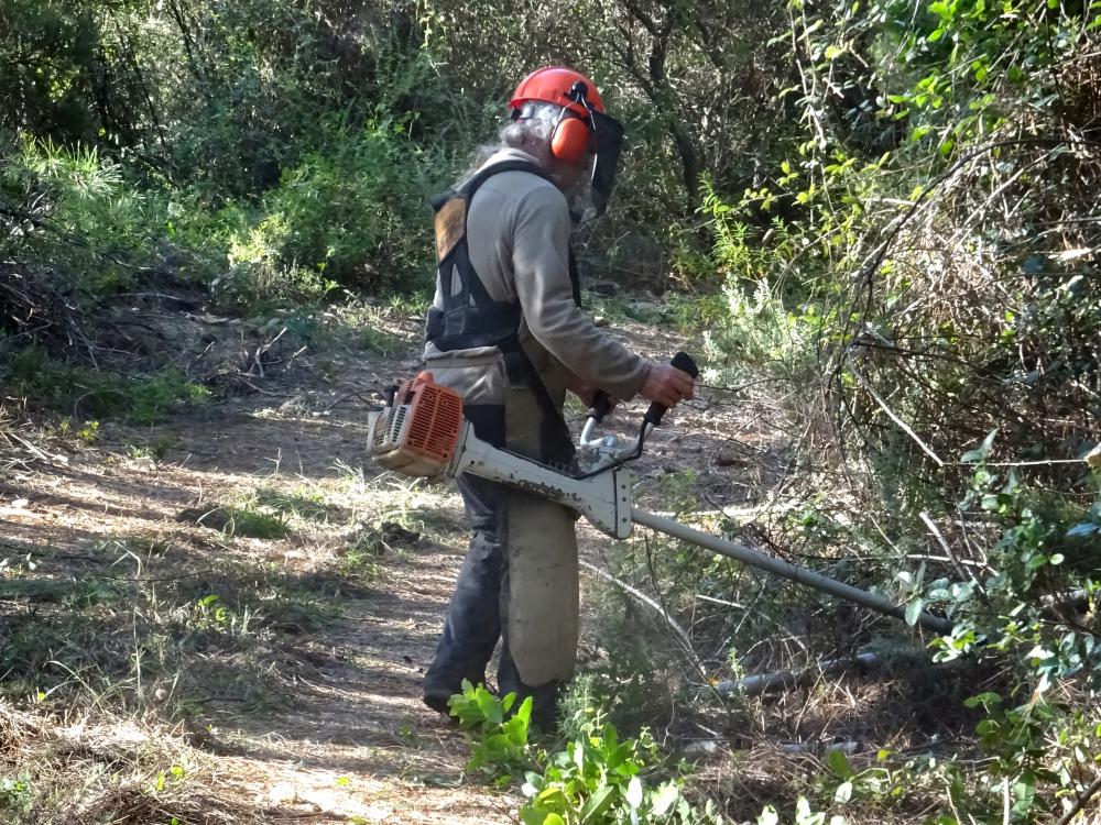 Débroussaillage de terrain 