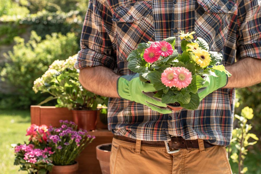 Pots de fleurs, jardinier 